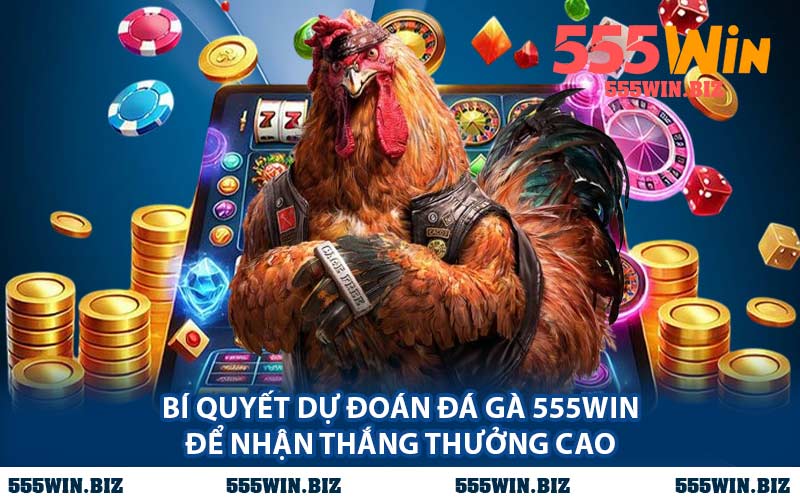 Bí Quyết Dự Đoán Đá Gà 555WIN Để Nhận Thắng Thưởng Cao