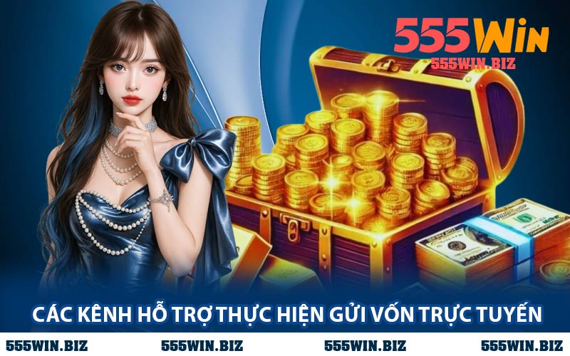 Các Kênh Hỗ Trợ Thực Hiện Gửi Vốn Trực Tuyến